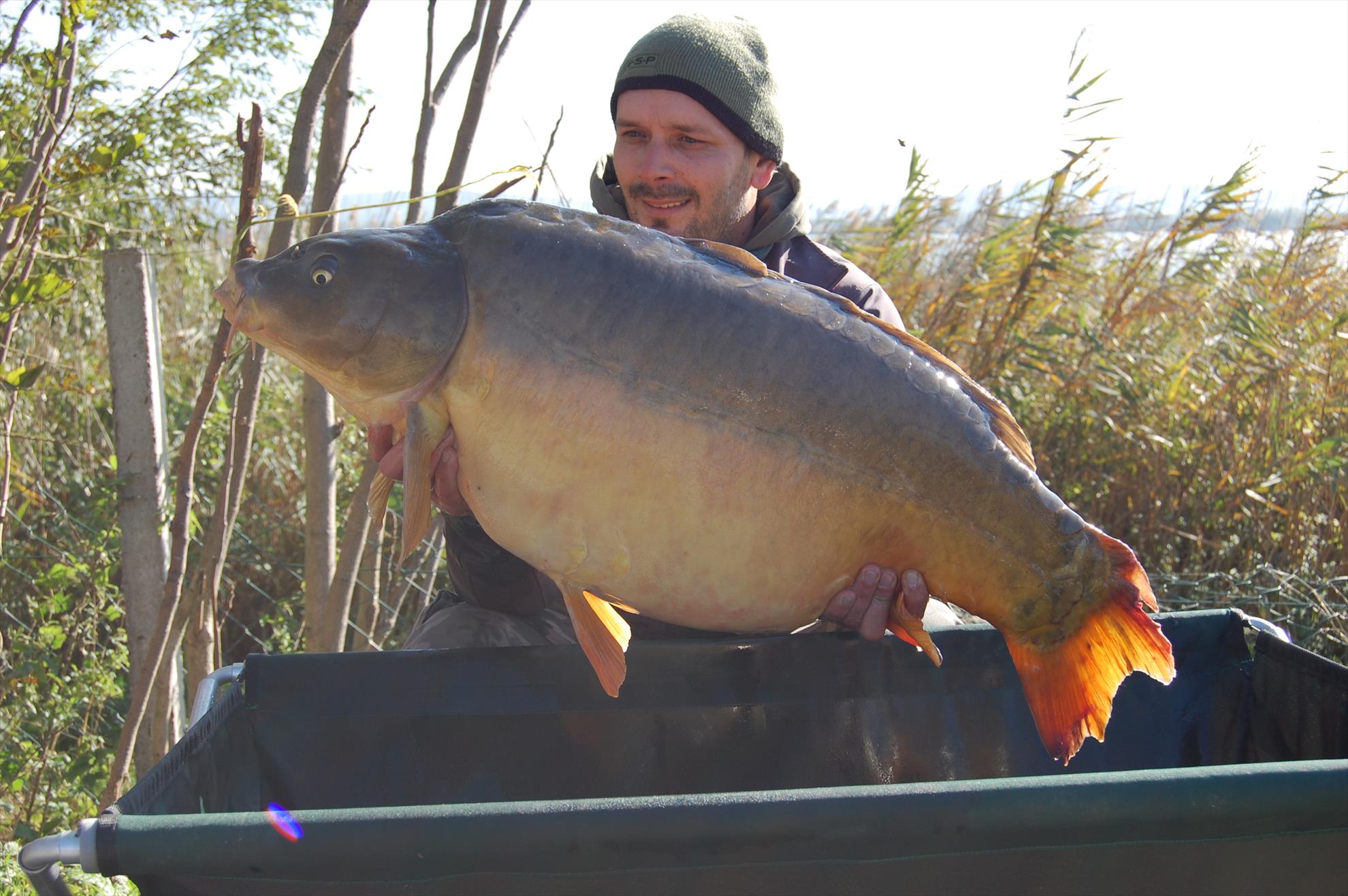 final de sezon 2015  - 22,3 kg